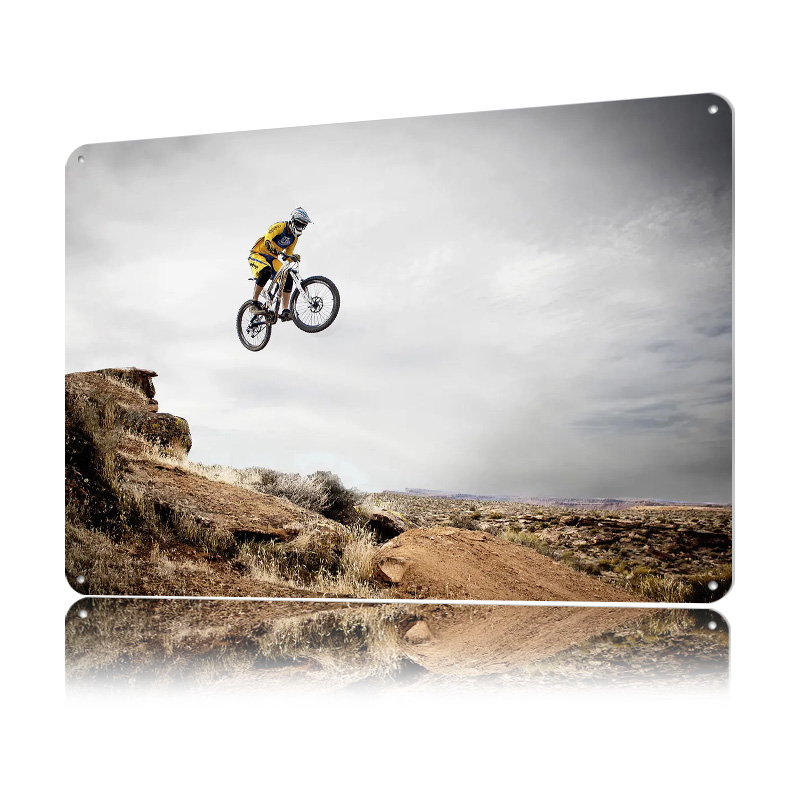 لوحة معدنية ثلاثية الأبعاد خفي - مراجعة Mountain Biking Europe وسعره